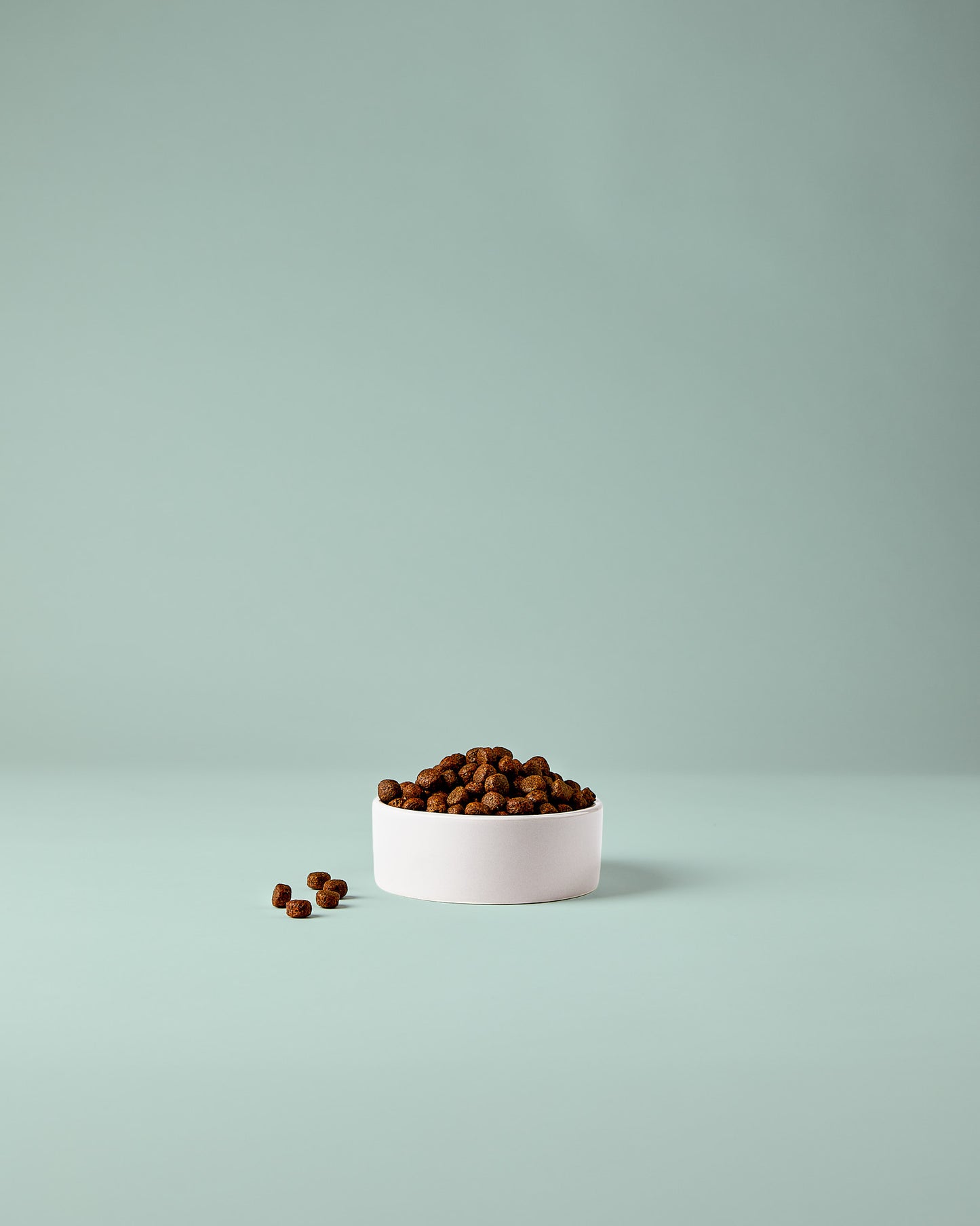 Kaninchen & Kartoffel „Adult“