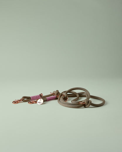 Verstellbare Hundeleine in Beige/Tan mit roségoldenen Beschlägen – elegante Premium-Leine für mittelgroße und große Hunde