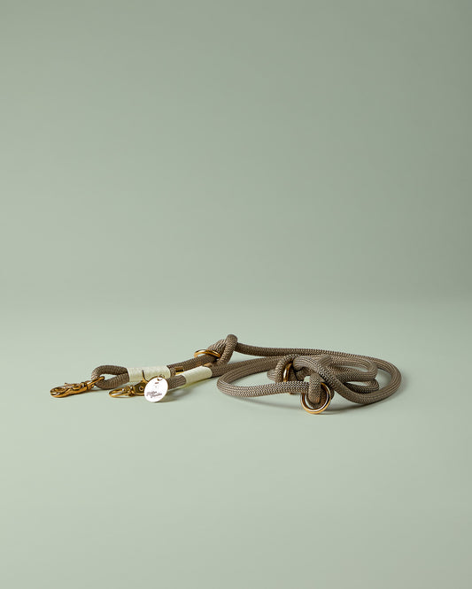 Hundeleine Goldener Morgen verstellbar