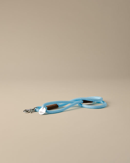 Hundeleine Himmel & Erde