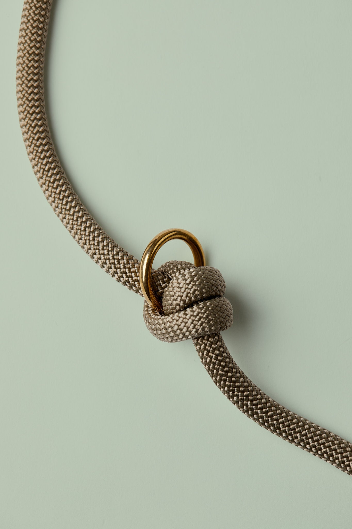 Hundeleine Goldener Morgen verstellbar